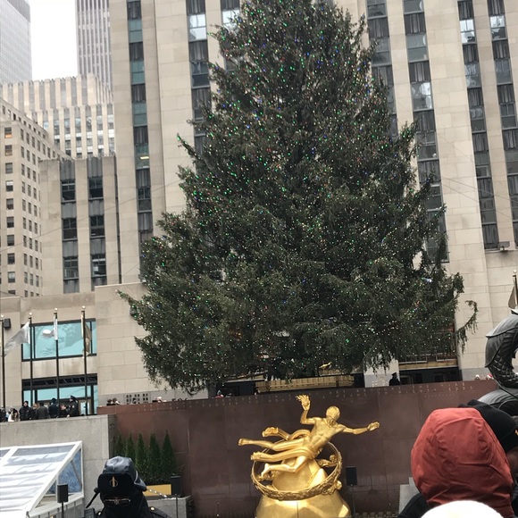 Meet your Posher, Julia - Picture 1 of 1